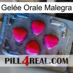 Gelée Orale Malegra 13